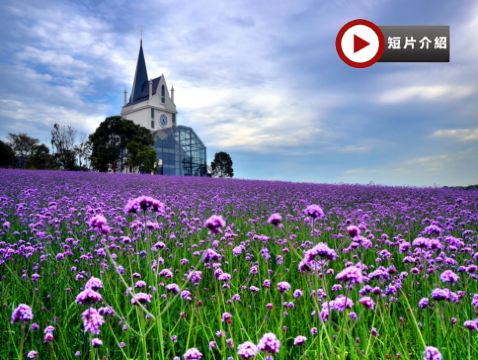 江城武漢 5天純玩高鐵團   黃鶴樓、東湖風景區、雲夢祥雲灣、花博匯、非遺打鐵花表演、武漢江灘夜景、古德寺、光谷空軌、長江輪渡賞日落、品嚐蔡林記過早九宮格、漢口喜來登酒店海鮮自助晚餐