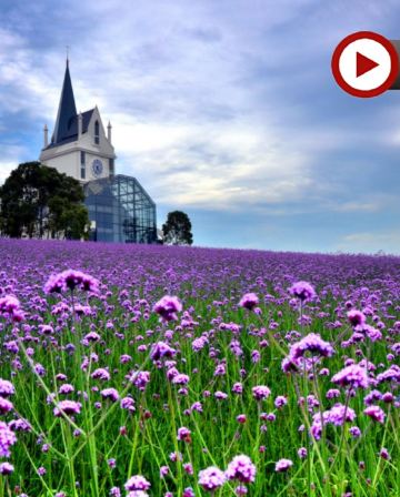 江城武漢 5天純玩高鐵團   黃鶴樓、東湖風景區、雲夢祥雲灣、花博匯、非遺打鐵花表演、武漢江灘夜景、古德寺、光谷空軌、長江輪渡賞日落、品嚐蔡林記過早九宮格、漢口喜來登酒店海鮮自助晚餐