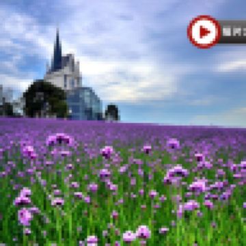 江城武漢 5天純玩高鐵團   黃鶴樓、東湖風景區、雲夢祥雲灣、花博匯、非遺打鐵花表演、武漢江灘夜景、古德寺、光谷空軌、長江輪渡賞日落、品嚐蔡林記過早九宮格、漢口喜來登酒店海鮮自助晚餐