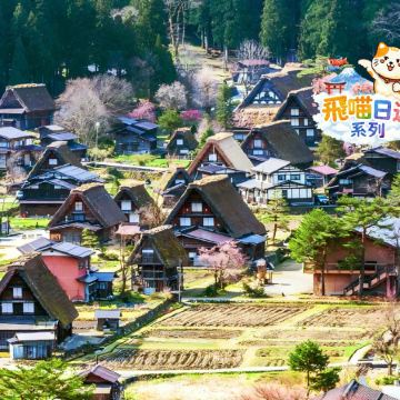 名古屋出發 經典《一日遊》  白川鄉合掌村&高山古街 即報即成團 |  一人可出發 | 9人小團 |免收旅行團服務費 | 全程無購物 |
