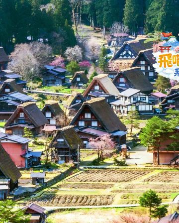 名古屋出發 經典《一日遊》  白川鄉合掌村&高山古街 即報即成團 |  一人可出發 | 9人小團 |免收旅行團服務費 | 全程無購物 |