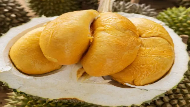 8321榴槤園檳城山中果王