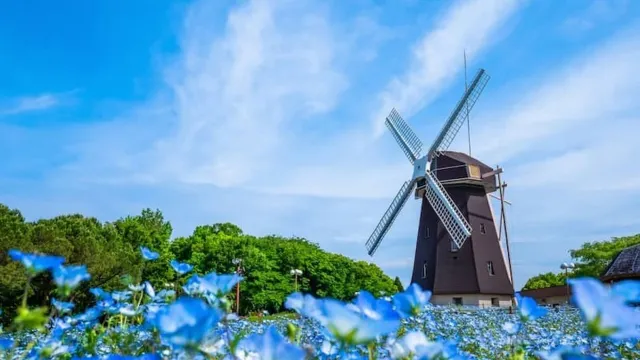 花博紀念公園鶴見綠地