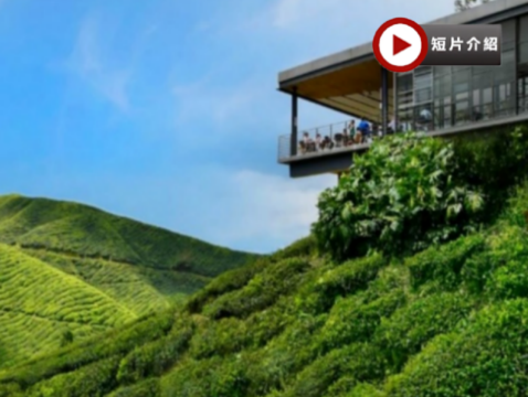 檳城+怡保+金馬崙高原5天觀光之旅