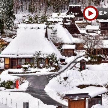 京阪神 冬日古風6天之旅  美山町~茅屋之里、「世界文化遺產」延曆寺、(祗園~花見小路+伏見稻荷大社～千本鳥居)*