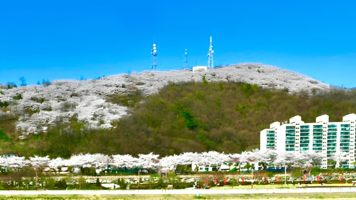 五十川~遠眺鳳凰山