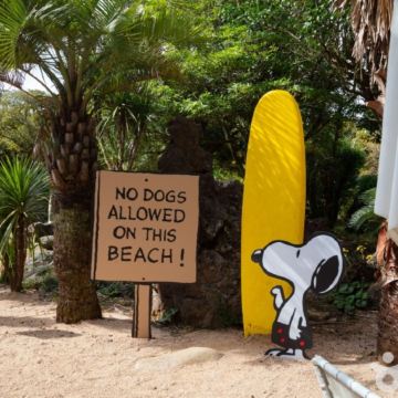 濟州4天韓遊之旅 ※史努比庭園SnoopyGarden、透明獨木舟體驗、風之山坡Boromwat、新昌風車海岸道路、月汀里海水浴場、道頭洞彩虹海岸道路、海女博物館、彩虹遊艇體驗+海女下水表演秀、