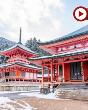 京阪神 冬日古風6天寫意之旅 美山町~茅屋之里、比叡山~「世界文化遺產」延曆寺、和歌山城~紅葉溪庭園