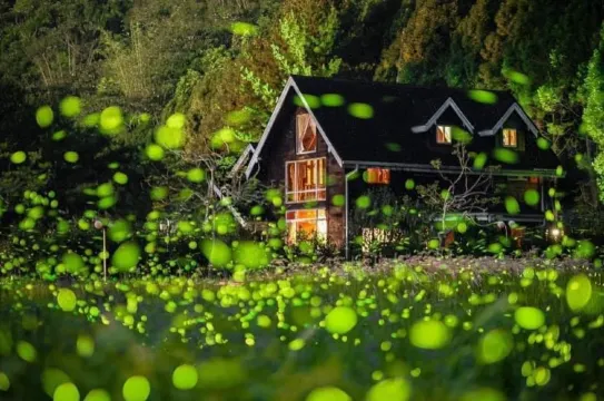 《限定增遊》晚間螢火蟲導覽
 (4月1日 至5月31日出發適用)(註19)