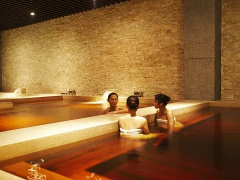 【南方莊園渡假飯店】亞式-大眾湯池