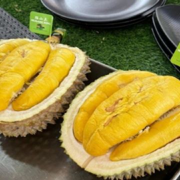 【3鑽】《季節限定》吉隆坡+吉膽島 度假美食 榴槤任食5天團 【不設自費加遊】狄臣港 Lexis Hibiscus Port Dickson大紅花豪華海上度假村+3晚吉隆坡國際品牌五星級酒店