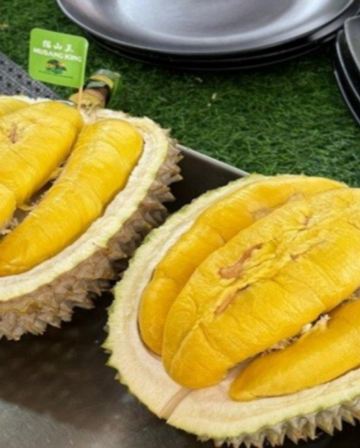 《季節限定 榴槤任食》吉隆坡+吉膽島 度假美食 榴槤任食5天團 【不設自費加遊】狄臣港 Lexis Hibiscus Port Dickson大紅花豪華海上度假村+3晚吉隆坡國際品牌五星級酒店