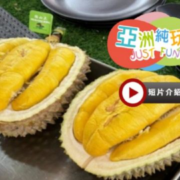 《季節限定 榴槤任食》吉隆坡+吉膽島 度假美食 榴槤任食5天團 【不設自費加遊】狄臣港 Lexis Hibiscus Port Dickson大紅花豪華海上度假村+3晚吉隆坡國際品牌五星級酒店