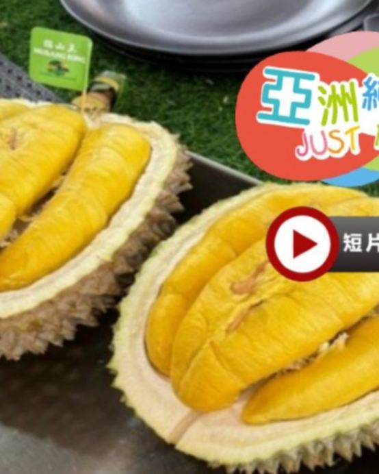 《季節限定 榴槤任食》吉隆坡+吉膽島 度假美食 榴槤任食5天團 【不設自費加遊】狄臣港 Lexis Hibiscus Port Dickson大紅花豪華海上度假村+3晚吉隆坡國際品牌五星級酒店