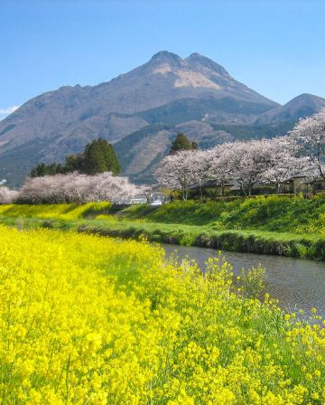 九州 春日花祭 +J1甲級聯賽 6天溫泉之旅   由布院溫泉街(櫻花及油菜花)、【保證入住】長崎 Stadium City球場酒店、 J1甲級聯賽~長崎成功丸 vs 清水心跳 (包門票)