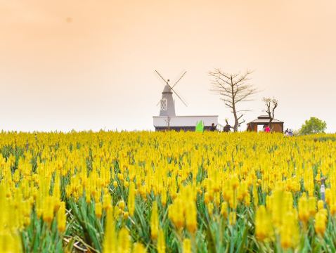 《冬日溫泉+釣蝦樂+中國的蘆薈普羅旺斯+去程直航船》保證入住江門亞洲福永溫泉酒店(豪華露台客房) 【濃湯乾坤豬肚荷包翅+(位上)過橋東星斑】【15年新會陳皮燉水鴨+台山生蠔宴】江門溫泉純玩2天團