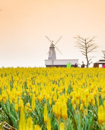 《冬日溫泉+釣蝦樂+中國的蘆薈普羅旺斯+去程直航船》保證入住江門亞洲福永溫泉酒店(豪華露台客房) 【濃湯乾坤豬肚荷包翅+(位上)過橋東星斑】【15年新會陳皮燉水鴨+台山生蠔宴】江門溫泉純玩2天團