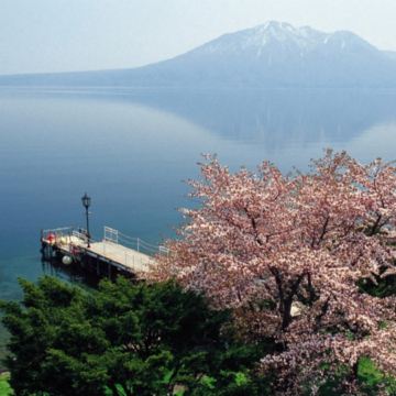 北海道~道央 春櫻溫泉6天之旅  2晚北湯澤Soraniwa 森の空庭/ 綠之風/登別石水亭 溫泉酒店、賞櫻名所(洞爺湖展望台、北國優駿公園、北海道神宮)、登別Marine Park海洋城堡~企鵝巡遊