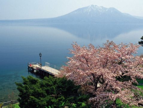 北海道~道央 春櫻溫泉6天之旅  2晚北湯澤Soraniwa 森の空庭/ 綠之風/登別石水亭 溫泉酒店、賞櫻名所(洞爺湖展望台、北國優駿公園、北海道神宮)、登別Marine Park海洋城堡~企鵝巡遊