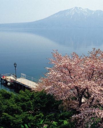 北海道~道央 春櫻溫泉6天之旅  2晚北湯澤Soraniwa 森の空庭/ 綠之風/登別石水亭 溫泉酒店、賞櫻名所(洞爺湖展望台、北國優駿公園、北海道神宮)、登別Marine Park海洋城堡~企鵝巡遊