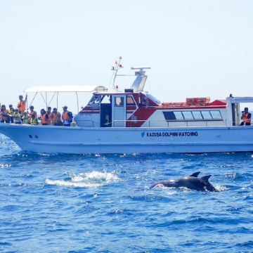 長崎、福岡 賞海豚5天春日美景之旅  御船山樂園 ~櫻花祭/春の花祭( 杜鵑花、大紫籐花)、 南島原(乘船觀賞野生海豚)、雲仙地獄(大叫喚地獄展望所)、稻佐山展望台(乘玻璃列車、日本新三大夜景)