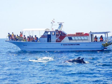 長崎、福岡 賞海豚5天春日美景之旅  御船山樂園 ~櫻花祭/春の花祭( 杜鵑花、大紫籐花)、 南島原(乘船觀賞野生海豚)、雲仙地獄(大叫喚地獄展望所)、稻佐山展望台(乘玻璃列車、日本新三大夜景)