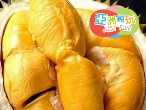 檳城 5天美食觀光 榴槤任食純玩之旅【季節限定 榴槤任食】《保證全程入住‧Banyan Tree酒店集團旗下品牌》五星級Angsana Teluk Bahang Penang