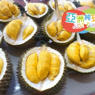 《永安獨家果園》【季節限定㊣榴槤任食】吉隆坡+雪蘭莪+馬六甲悠閒純玩5天團《連續2晚入住》2025年全新開幕國際品牌Marriott Executive Apartments Kuala Lumpur