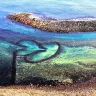 澎湖+高雄嘉義 季節限定澎湖國際海上花火節x七龍珠Z 澎湖夏日花火大會【特別安排花火節VIP座席】5天遊  連續2晚【保證入住】5星級澎湖福朋喜來登酒店