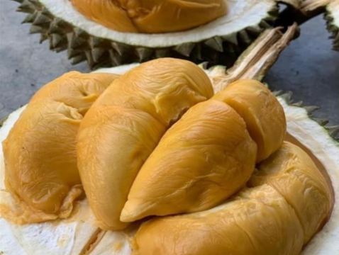 檳城、怡保、太平 美食暢玩 榴槤任食 5天之旅 【連續3晚入住檳城四星級酒店Capri by Fraser Penang/St Giles Wembley Penang Hotel 】