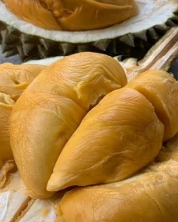 檳城、怡保、太平 美食暢玩 榴槤任食 5天之旅 【連續3晚入住檳城四星級酒店Capri by Fraser Penang/St Giles Wembley Penang Hotel 】