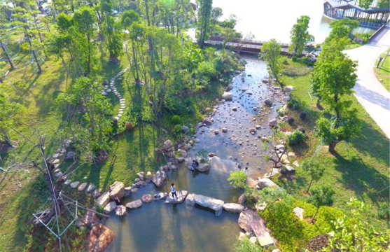 燈都生態濕地公園