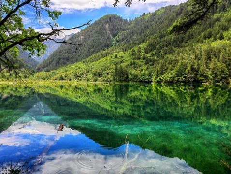 《九寨溝‧黃龍》充裕時間遊覽童話世界~九寨溝(包景區獨立環保車)、瑤池仙境~黃龍、都江堰熊貓樂園(觀看國寶大熊貓)、連住2晚黑龍灘風景區酒店(無限次享用天堂島水樂園) 6天升級純玩團 