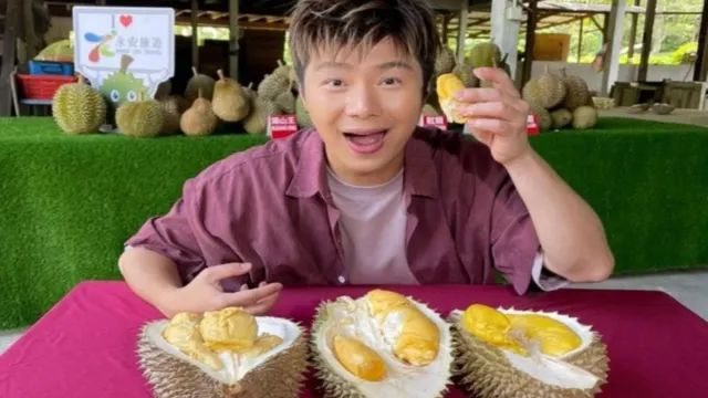 紅園(365檳城榴槤園)