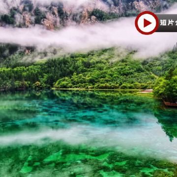 隆重呈獻頂級奢華九寨6天之旅《尊享九寨溝Ritz-Carlton麗思卡爾頓隱世酒店+成都Grand Hyatt群光君悅酒店》全日充裕時間遊覽人間仙境～九寨溝、牟尼溝、成都大熊貓繁肓研究基地