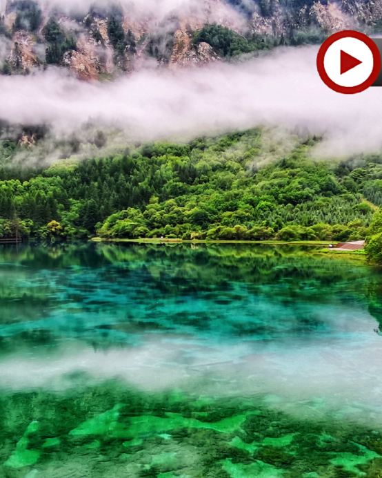 隆重呈獻頂級奢華九寨6天之旅《尊享九寨溝Ritz-Carlton麗思卡爾頓隱世酒店+成都Grand Hyatt群光君悅酒店》全日充裕時間遊覽人間仙境~九寨溝、牟尼溝、成都大熊貓繁肓研究基地