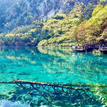 《九寨溝‧黃龍‧四姑娘山》醉美童話美景深度遊  九寨溝(童話世界)、黃龍(瑤池仙境)、東方阿爾卑斯山~四姑娘山、臥龍國家級自然保護區、都江堰、City Walk 漫遊成都繁華景象