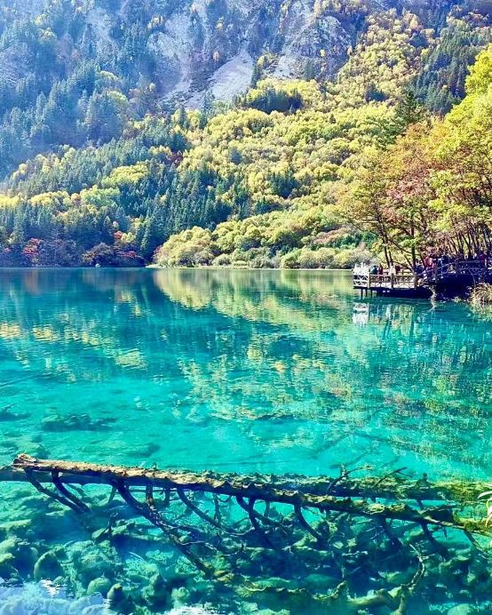 《九寨溝‧黃龍‧四姑娘山》醉美童話美景深度遊  九寨溝(童話世界)、黃龍(瑤池仙境)、東方阿爾卑斯山~四姑娘山、臥龍國家級自然保護區、都江堰、City Walk 漫遊成都繁華景象