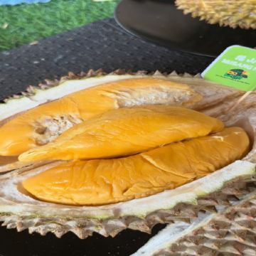 新加坡+馬來西亞6天 榴槤任食 玩樂團《季節限定 榴槤任食》布城遊船體驗 + Gardens by the Bay濱海灣花園 + Aquaria KLCC水族館