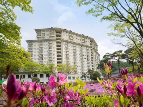 江村Elysian度假村