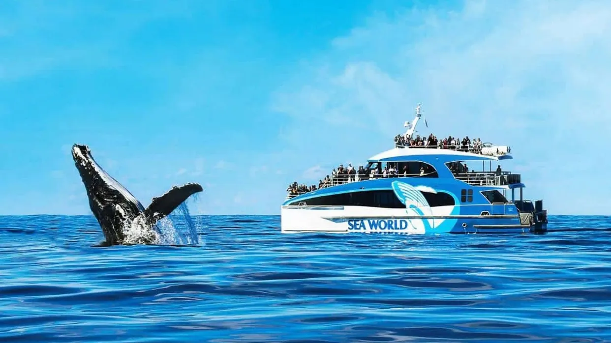 Sea World Cruises 觀鯨之旅