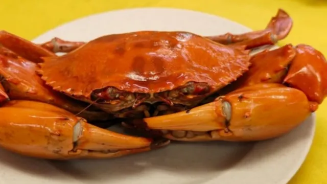 鮮味蒸肉蟹