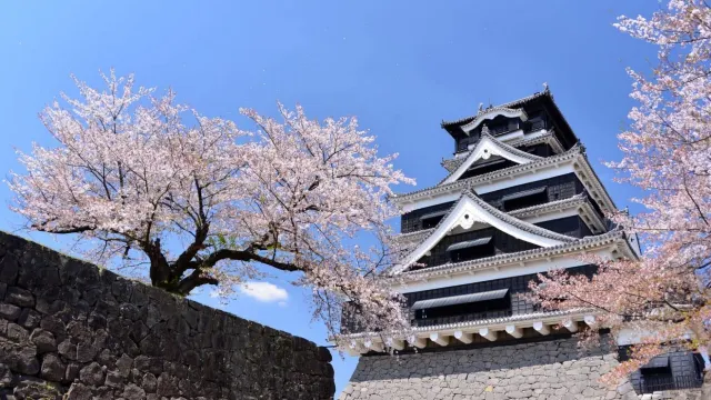 熊本城