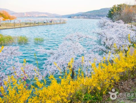 慶尚道+釜山5天花漾之旅 *早鳥報名*【春日賞花】普門湖觀光園地、瞻星台~大陵苑~東宮與月池、溫泉川市民公園、海雲台迎月路、大渚生態公園、海雲台RiverCruise、松島海上天空步道+纜車+龍宮雲橋