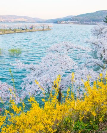 慶尚道+釜山5天花漾之旅 *早鳥報名*【春日賞花】普門湖觀光園地、瞻星台~大陵苑~東宮與月池、溫泉川市民公園、海雲台迎月路、大渚生態公園、海雲台RiverCruise、松島海上天空步道+纜車+龍宮雲橋