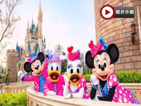 東京迪士尼、河口湖 冬日6天樂園美景之旅   東京迪士尼樂園/迪士尼海洋~全日任玩套票、Sanrio Puroland 、Mother牧場(欣賞花田美景)