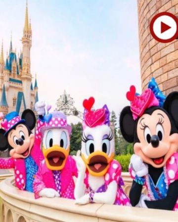 東京迪士尼、河口湖 冬日6天樂園美景之旅 東京迪士尼樂園/迪士尼海洋~全日任玩套票、Sanrio Puroland 、Mother牧場(欣賞花田美景)