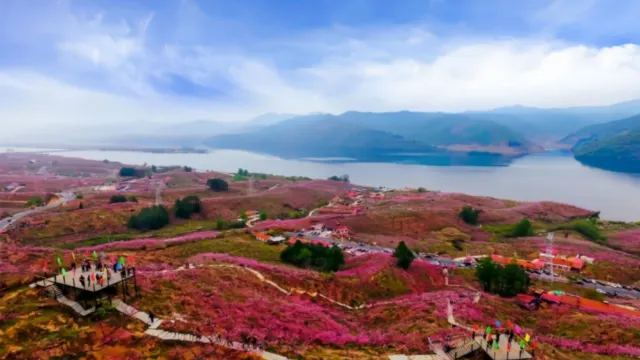 4月20日-5月10日出發團隊增遊丹東河口萬畝桃花林