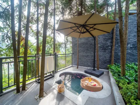 鳳凰鳳仙境溫德姆至尊豪廷溫泉酒店