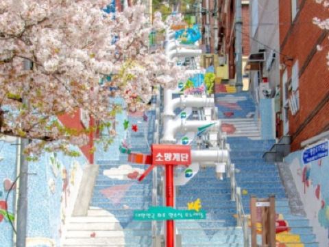 釜山地道韓食6天之旅 ※【BlueRibbon推介餐廳】風川灣烤鰻魚;活鮑魚海鮮辛辣麵+韓式海膽一口紫菜飯捲;海鮮烤貝料理;釜山名物：豚肉湯飯 ; 機張名物:松葉蟹料理;【藍絲帶認證食府】釜山豬手料理